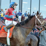 Tiny Temper - The Azeri Stakes G2 37Th Running 03 - 09 - 24 R09 Op Come Back 03 Oaklawn Park