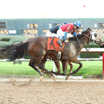 Tiny Temper - The Azeri Stakes G2 37Th Running 03 - 09 - 24 R09 Op Finish 01 Oaklawn Park