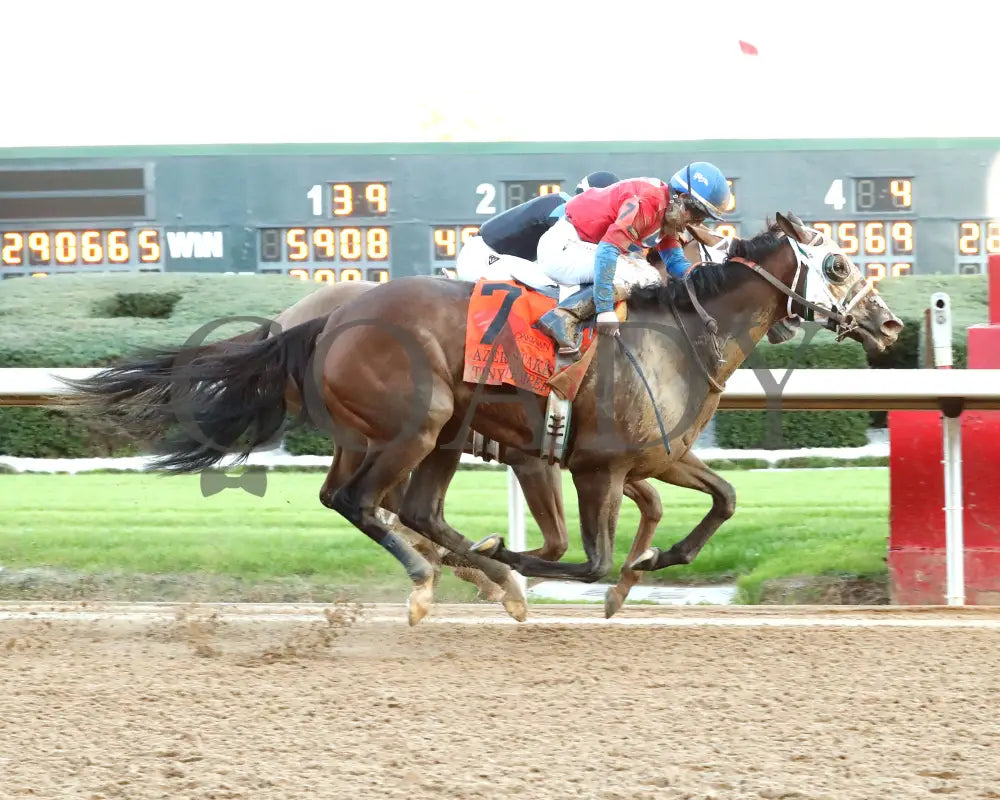 Tiny Temper - The Azeri Stakes G2 37Th Running 03 - 09 - 24 R09 Op Finish 01 Oaklawn Park