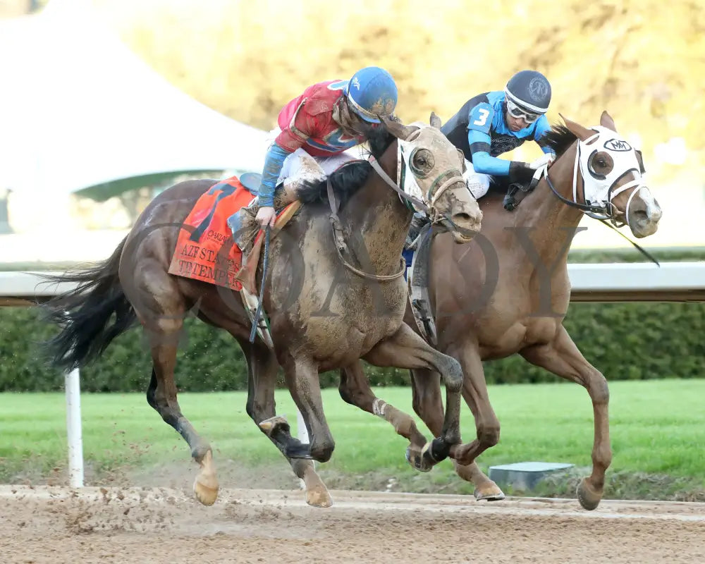 Tiny Temper - The Azeri Stakes G2 37Th Running 03 - 09 - 24 R09 Op Finish 02 Oaklawn Park