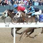 Tiny Temper - The Azeri Stakes G2 37Th Running 03 - 09 - 24 R09 Op Inside Finish 01 Oaklawn Park