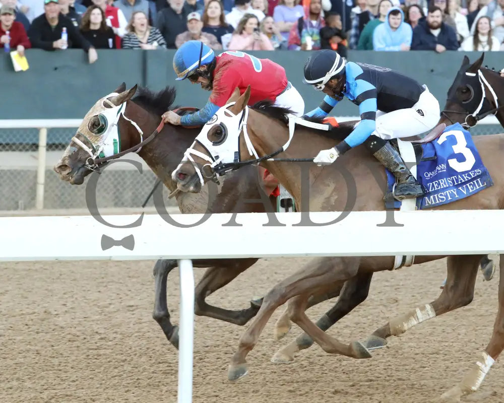 Tiny Temper - The Azeri Stakes G2 37Th Running 03 - 09 - 24 R09 Op Inside Finish 01 Oaklawn Park