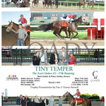 Tiny Temper - The Azeri Stakes G2 37Th Running 03 - 09 - 24 R09 Op Oaklawn Park