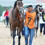 Tiny Temper - The Azeri Stakes G2 37Th Running 03 - 09 - 24 R09 Op Paddock 02 Oaklawn Park