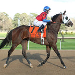 Tiny Temper - The Azeri Stakes G2 37Th Running 03 - 09 - 24 R09 Op Post Parade 01 Oaklawn Park