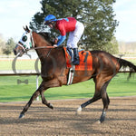 Tiny Temper - The Azeri Stakes G2 37Th Running 03 - 09 - 24 R09 Op Post Parade 02 Oaklawn Park