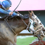 Tiny Temper - The Azeri Stakes G2 37Th Running 03 - 09 - 24 R09 Op Tight Finish 01 Oaklawn Park