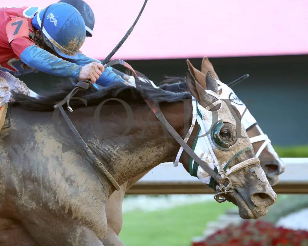 Tiny Temper - The Azeri Stakes G2 37Th Running 03 - 09 - 24 R09 Op Tight Finish 01 Oaklawn Park