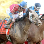 Tiny Temper - The Azeri Stakes G2 37Th Running 03 - 09 - 24 R09 Op Tight Finish 02 Oaklawn Park