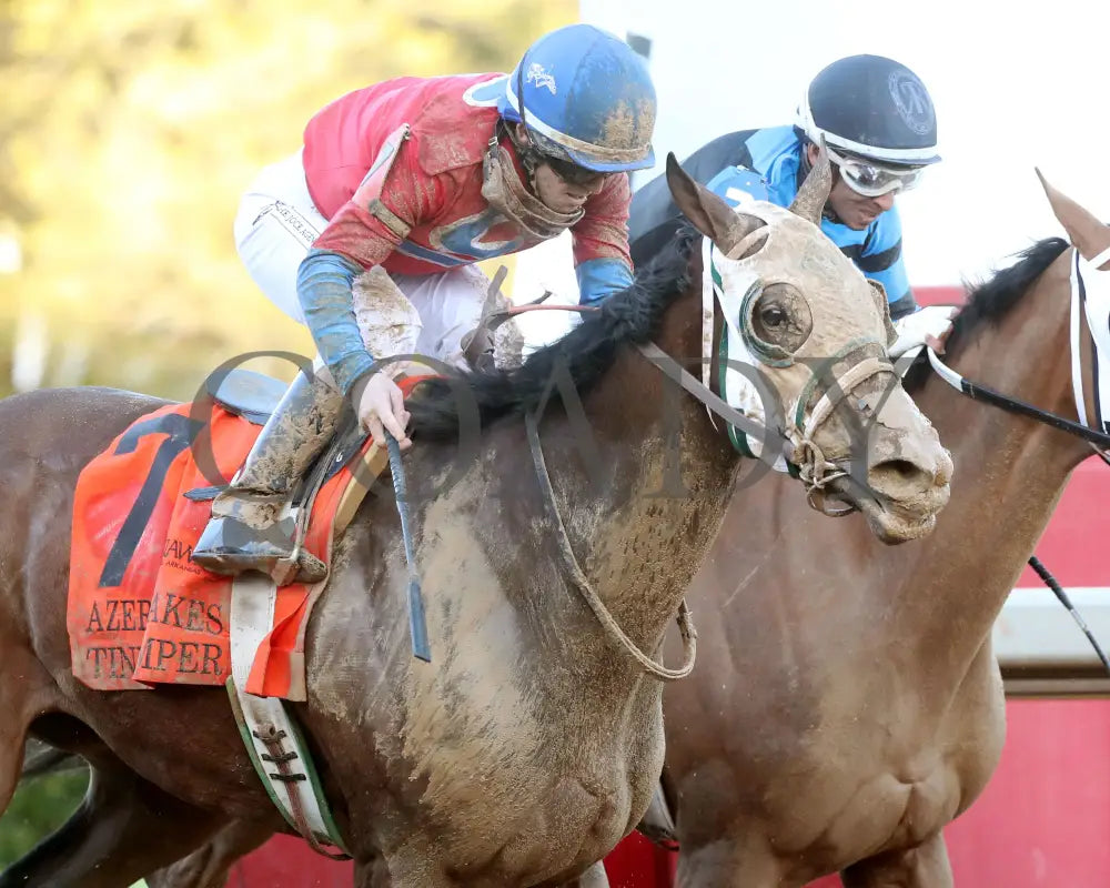 Tiny Temper - The Azeri Stakes G2 37Th Running 03 - 09 - 24 R09 Op Tight Finish 02 Oaklawn Park