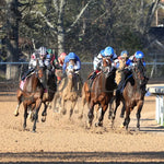 Tiny Temper - The Azeri Stakes G2 37Th Running 03 - 09 - 24 R09 Op Turn 01 Oaklawn Park