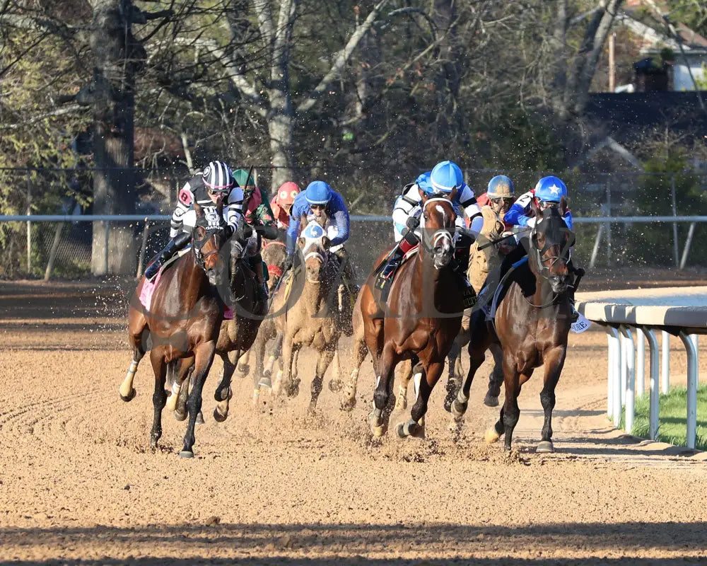 Tiny Temper - The Azeri Stakes G2 37Th Running 03 - 09 - 24 R09 Op Turn 01 Oaklawn Park