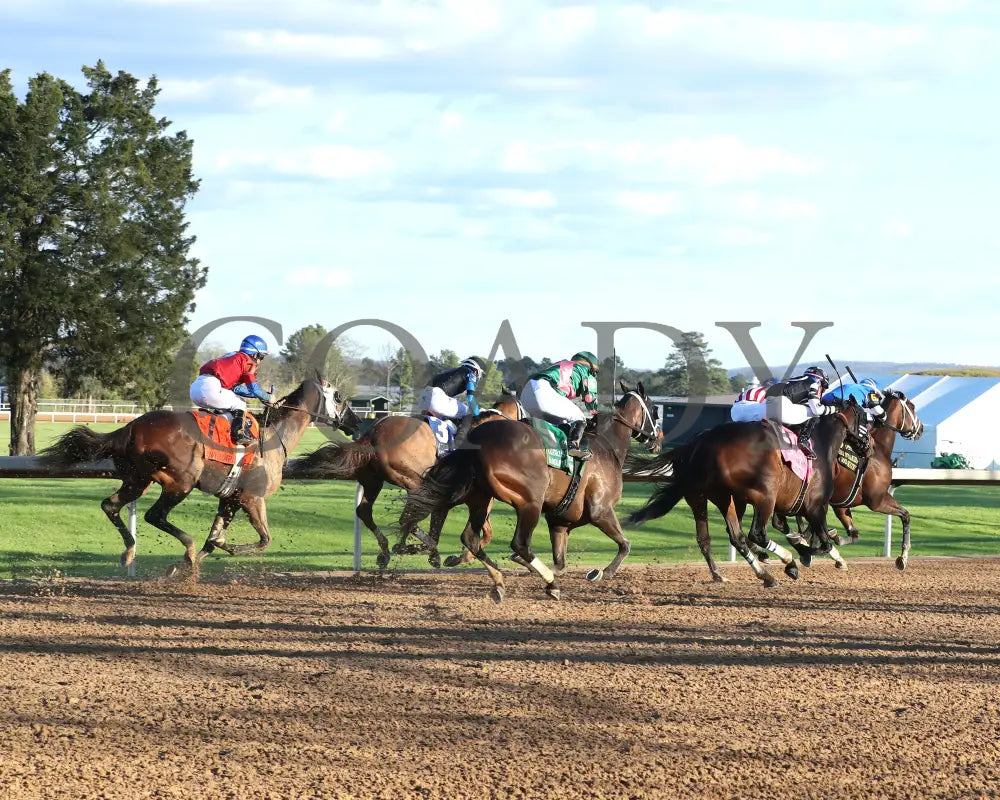 Tiny Temper - The Azeri Stakes G2 37Th Running 03 - 09 - 24 R09 Op Turn 02 Oaklawn Park