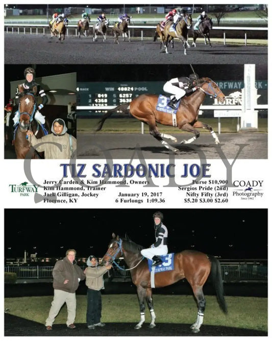 Tiz Sardonic Joe - 011917 Race 04 Tp Turfway Park