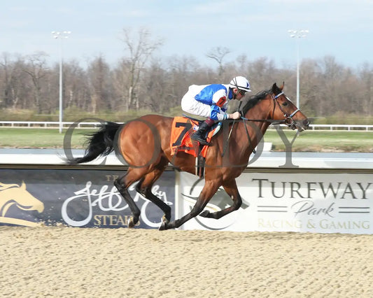 Tiz The Bomb - The Jeff Ruby Steaks G3 51St Running 04-02-22 R12 Tp Finish 01 Turfway Park