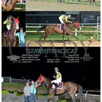 Tizawhitefacecat - 08-14-24 R06 Mnr Mountaineer Park