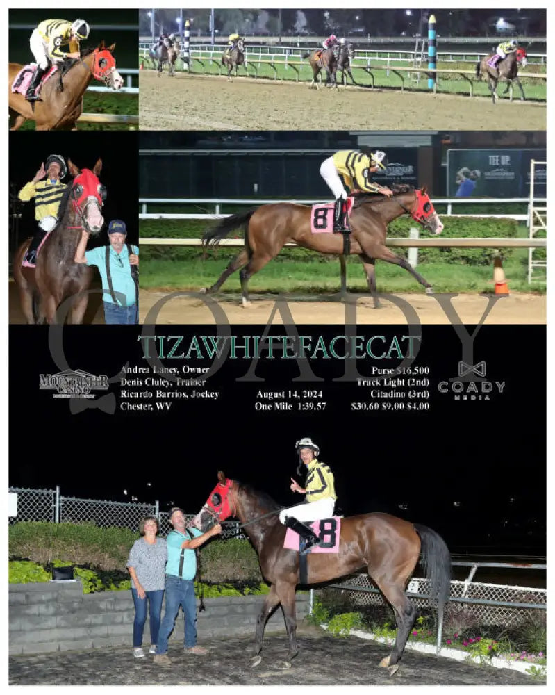 Tizawhitefacecat - 08-14-24 R06 Mnr Mountaineer Park