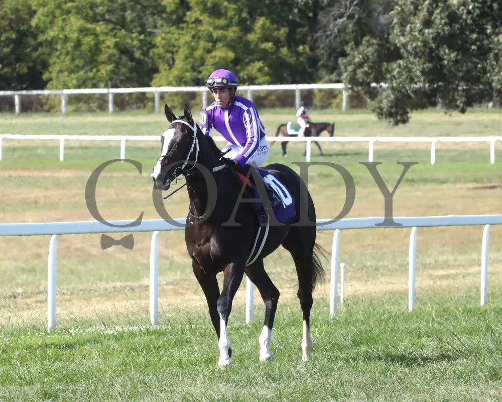 Tiztastic - The Kentucky Downs Juvenile Mile 09-08-24 R07 Kd Come Back 02