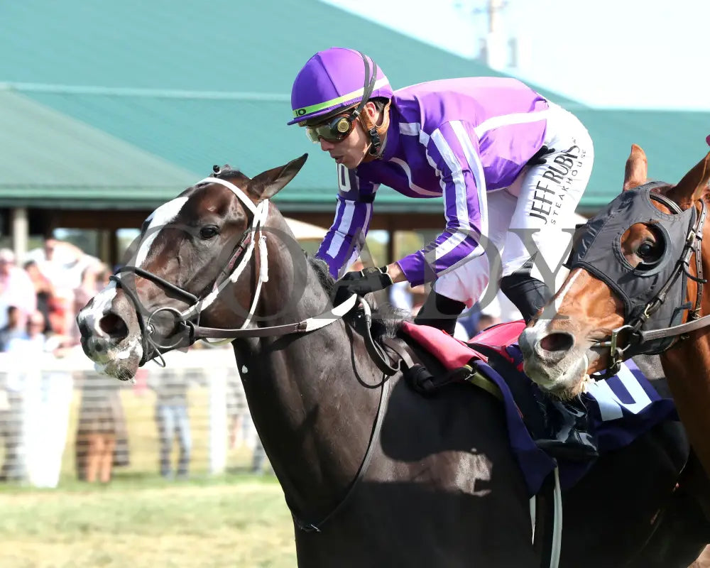 Tiztastic - The Kentucky Downs Juvenile Mile 09-08-24 R07 Kd Inside Finish 01