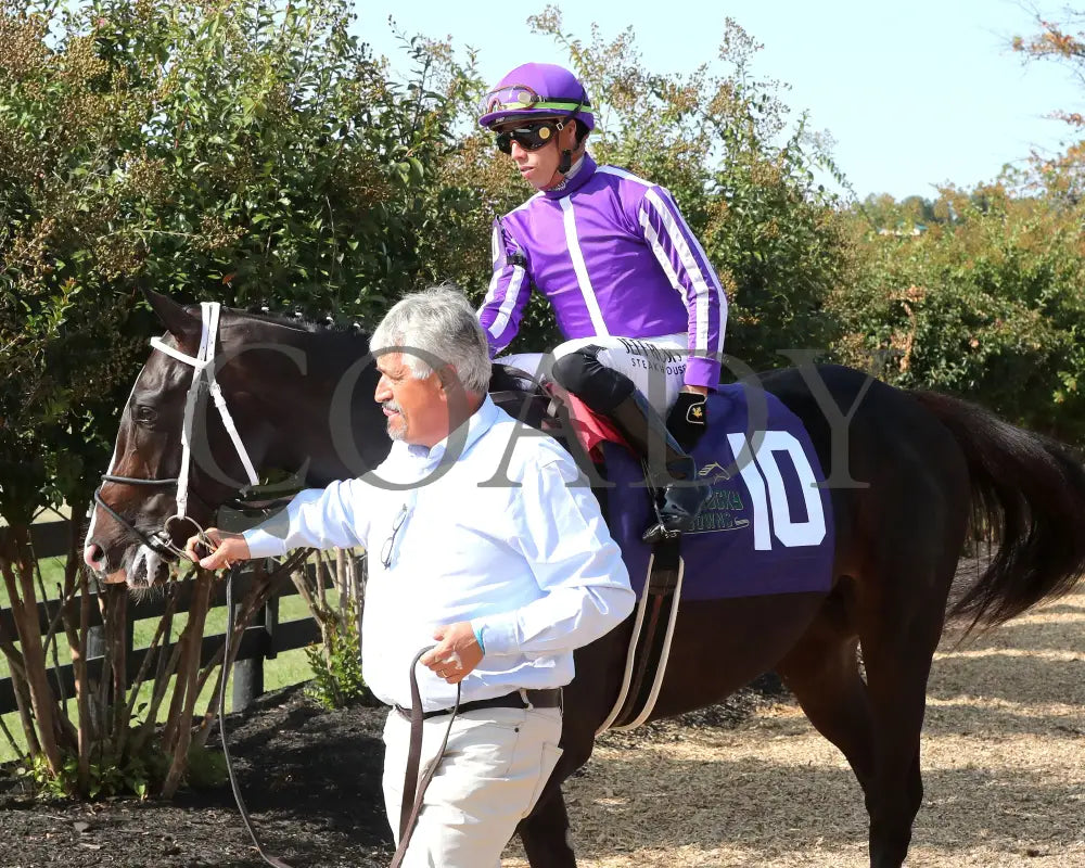 Tiztastic - The Kentucky Downs Juvenile Mile 09-08-24 R07 Kd Paddock 02