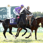 Tiztastic - The Kentucky Downs Juvenile Mile 09-08-24 R07 Kd Post Parade 01