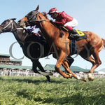 Tiztastic - The Kentucky Downs Juvenile Mile 09-08-24 R07 Kd Under Rail 01