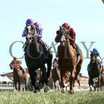 Tiztastic - The Kentucky Downs Juvenile Mile 09-08-24 R07 Kd Under Rail 02