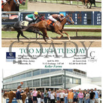 Too Much Tuesday - 04 - 16 - 24 R02 Fan Fanduel Sportsbook Horse Racing