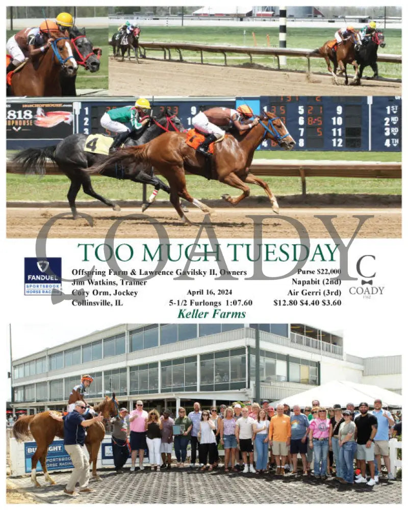 Too Much Tuesday - 04 - 16 - 24 R02 Fan Fanduel Sportsbook Horse Racing