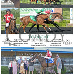 Toolcat - 07-16-24 R07 Pid Presque Isle Downs