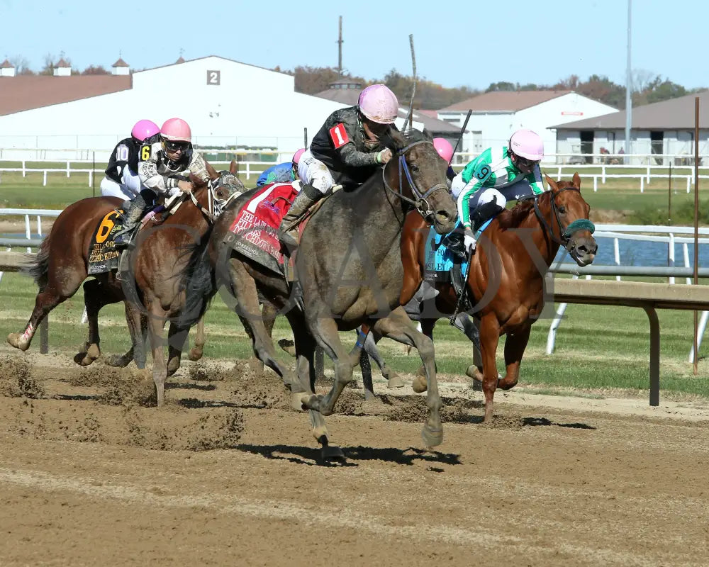 Touchdown Pass - Lady Fog Horn 5Th Running 10-26-24 R06 Horseshoe Indiana Finish 02 Devin Hall Grand