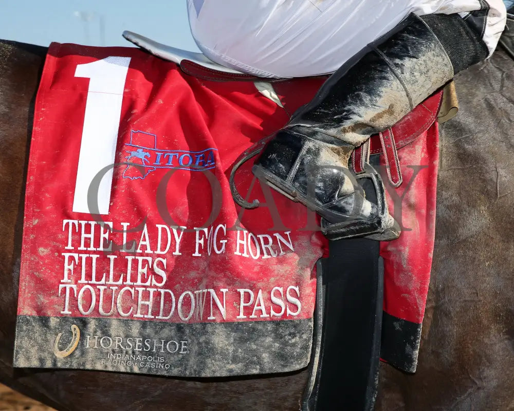 Touchdown Pass - Lady Fog Horn 5Th Running 10-26-24 R06 Horseshoe Indiana Saddle Towel 01 Sammantha