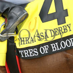 Tres Of Blood - Qhrai Stallion Service Auction Derby Finals 08-31-24 R10 Horseshoe Indiana Saddle