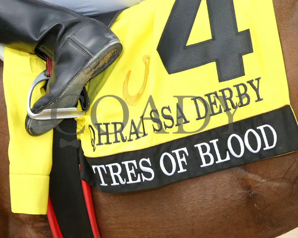 Tres Of Blood - Qhrai Stallion Service Auction Derby Finals 08-31-24 R10 Horseshoe Indiana Saddle