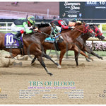 Tres Of Blood - Qhrai Stallion Service Auction Derby Finals 08-31-24 R10 Ind Action Indiana Grand