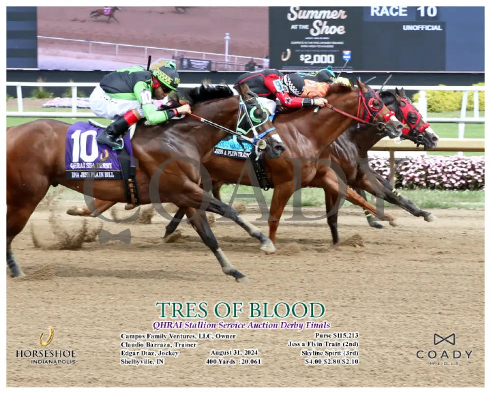 Tres Of Blood - Qhrai Stallion Service Auction Derby Finals 08-31-24 R10 Ind Action Indiana Grand