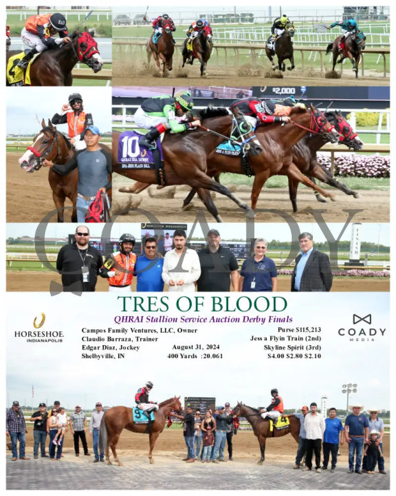 Tres Of Blood - Qhrai Stallion Service Auction Derby Finals 08-31-24 R10 Ind Indiana Grand