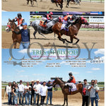 Tres Of Blood - Qhrai Stallion Service Auction Derby Trials 08-10-24 R09 Ind Indiana Grand