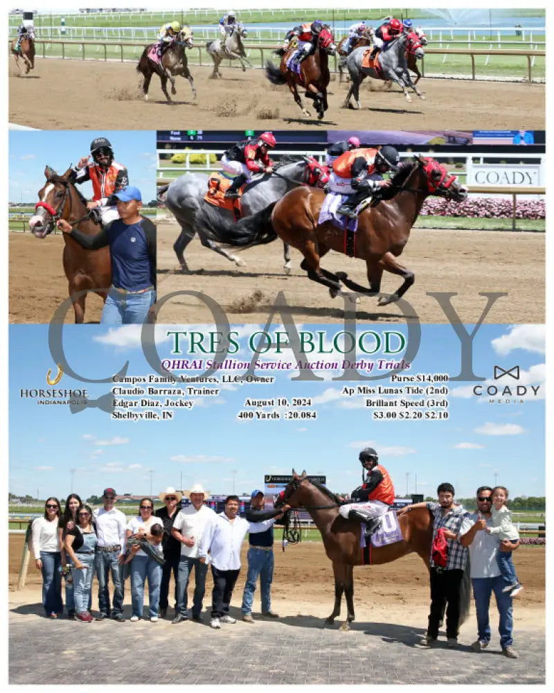 Tres Of Blood - Qhrai Stallion Service Auction Derby Trials 08-10-24 R09 Ind Indiana Grand