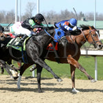 Trikari - The Rushway 37Th Running 03 - 23 - 24 R08 Turfway Park Finish 02 Paige West