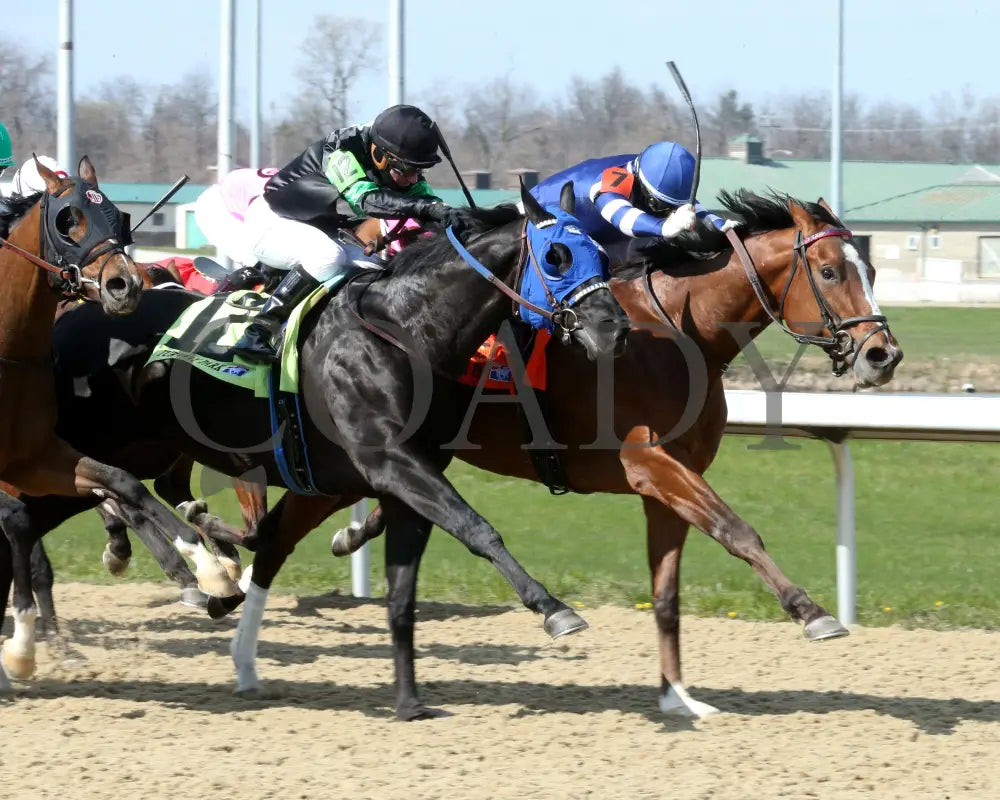 Trikari - The Rushway 37Th Running 03 - 23 - 24 R08 Turfway Park Finish 02 Paige West