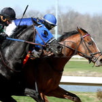 Trikari - The Rushway 37Th Running 03 - 23 - 24 R08 Turfway Park Finish 03 Paige West