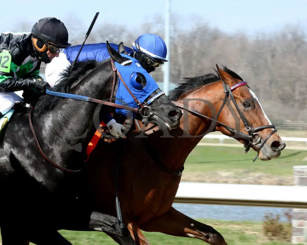 Trikari - The Rushway 37Th Running 03 - 23 - 24 R08 Turfway Park Finish 03 Paige West