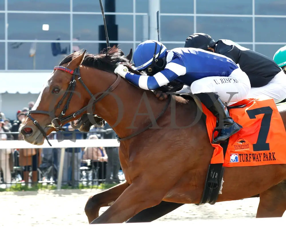 Trikari - The Rushway 37Th Running 03 - 23 - 24 R08 Turfway Park Inside Finish 01 Kurtis Coady