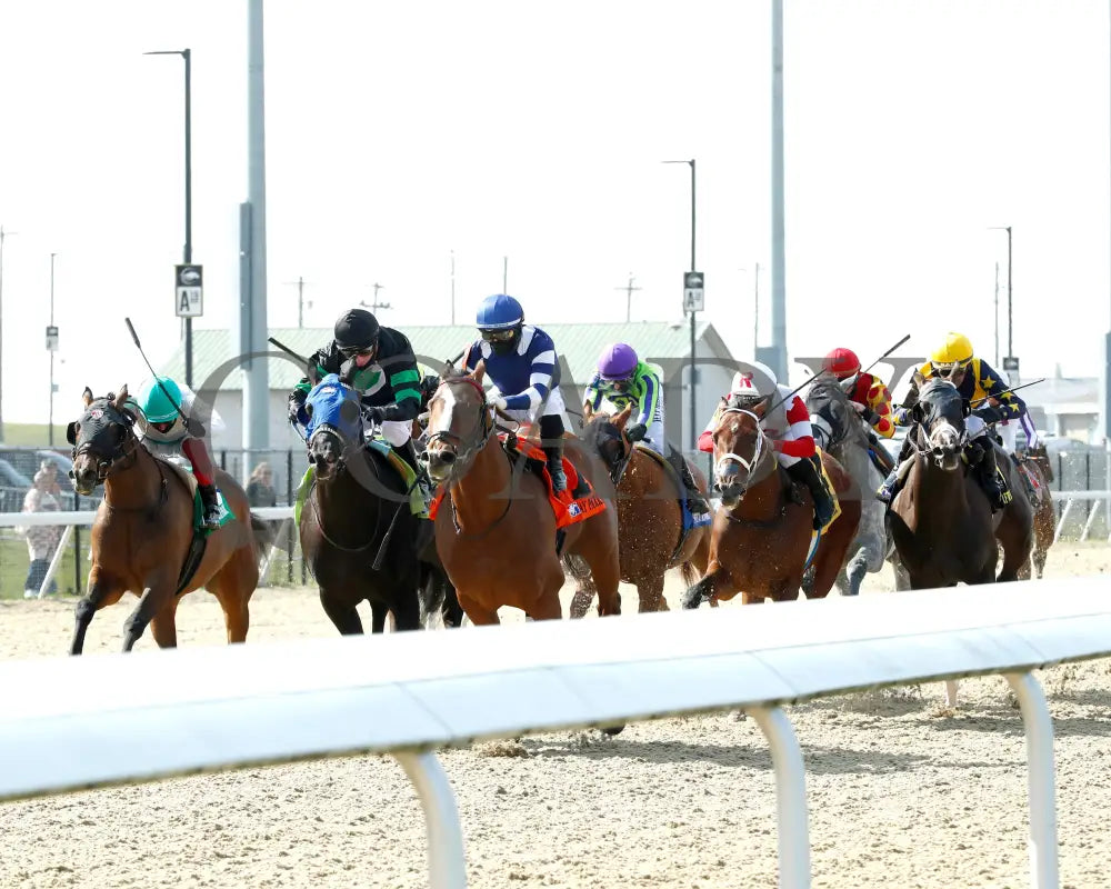 Trikari - The Rushway 37Th Running 03 - 23 - 24 R08 Turfway Park Up Track 01 Kurtis Coady