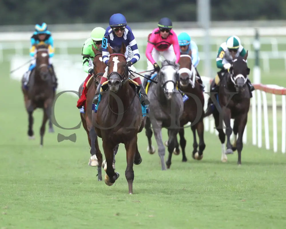 Trikari - The Secretariat 08-11-24 R09 Cnl Gallop Out 01 Colonial Downs