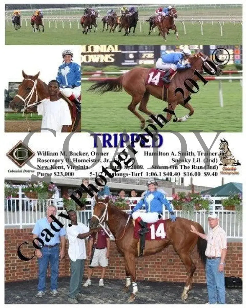 Tripped - 6 8 2009 Colonial Downs