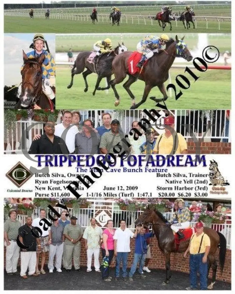 Trippedoutofadream - The Man Cave Bunch Feature Colonial Downs