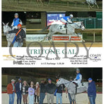 Tritone Gal - 03 - 09 - 24 R06 Ct Hollywood Casino At Charles Town Races