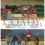 True Buckpassing - 06-14-24 R03 Ct Hollywood Casino At Charles Town Races